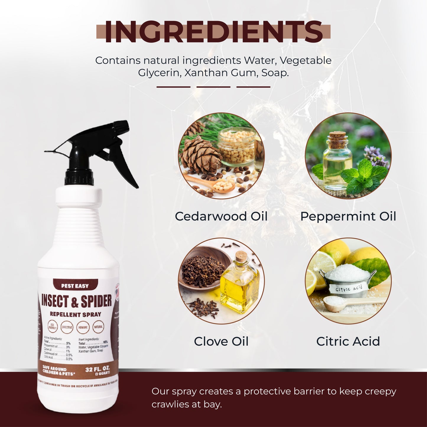 Insect & Spider Repellent Spray